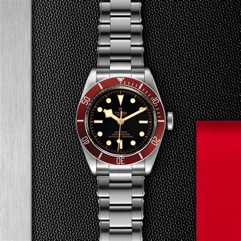 Tudor Black Bay M79230R 